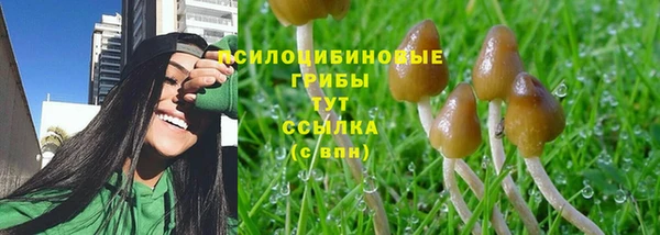 герыч Богородицк