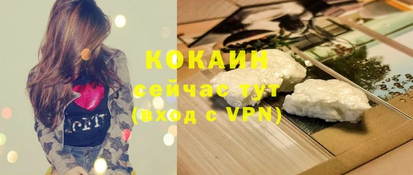 кокс Бородино